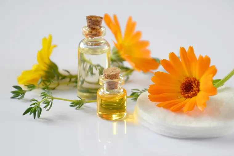 Calendula flowers